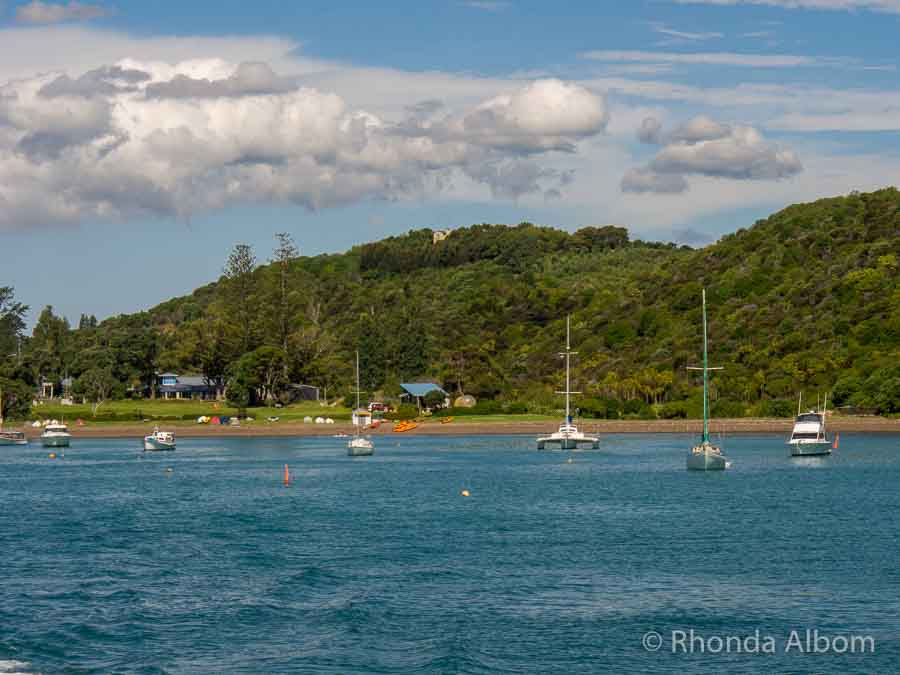 Waiheke Island Beaches, Paradise in New Zealand