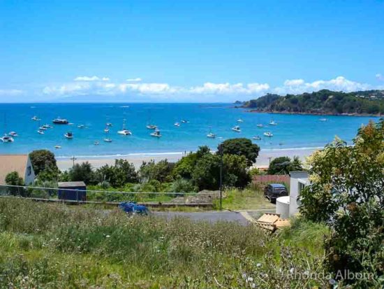 Waiheke Island Beaches, Paradise in New Zealand