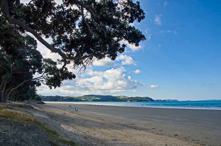 Orewa Beach: See Why This Local's Paradise is an Auckland Getaway