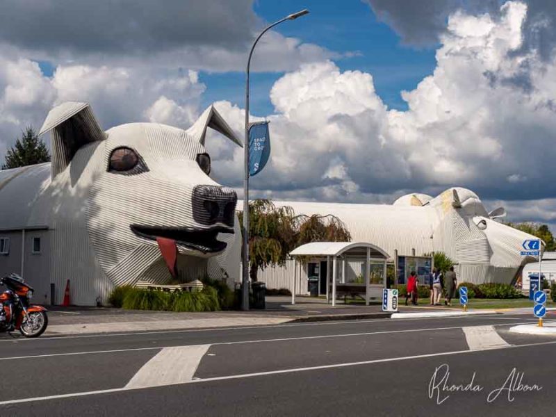 Corrugated iron buildings in the shape of a dog and a sheep in Tirau