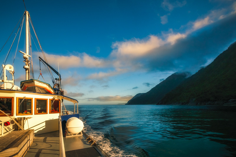 Beautiful light early in the morning on a cruise at Milford Sound Fjord in Fiordland National Park, New Zealand, South island.