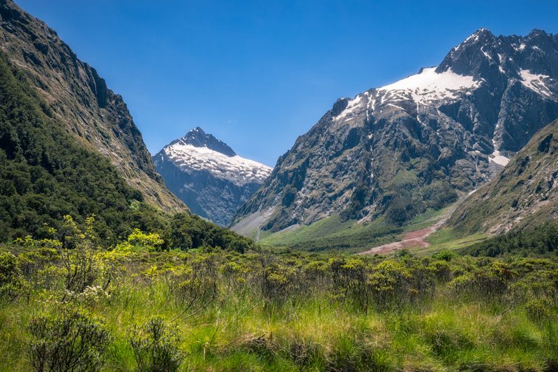 Mountain view close up with green grasses in the foreground in spring at Gertrude Valley Lookout, a scenic stopover on the road to Milford Sound in Fiordland National Park, New Zealand, South Island.