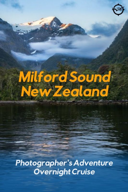 A catamaran at Freshwater Basin at Milford Sound, New Zealand