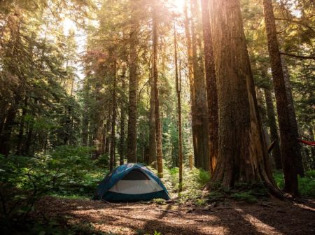 Camping in the West Coast: Best Places in the USA