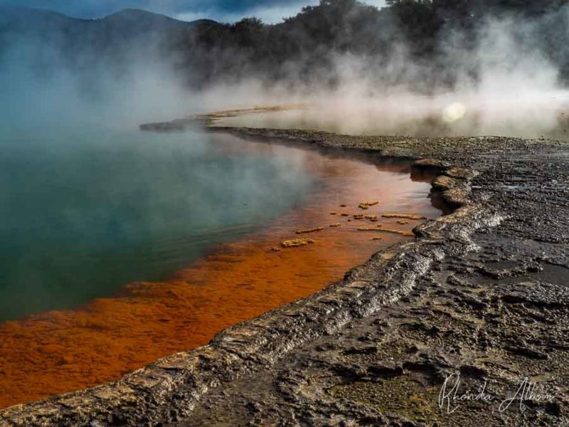 Classic image of vivid red and green colors and steam rising from the Champagne Pool at Wai-O-Tapu Rotorua