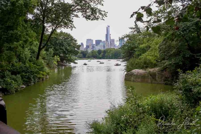 The Lake in central park with the city in the background