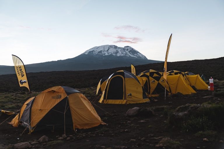 Best Kilimanjaro Tour Operators Compared Climb Africa's Highest Peak