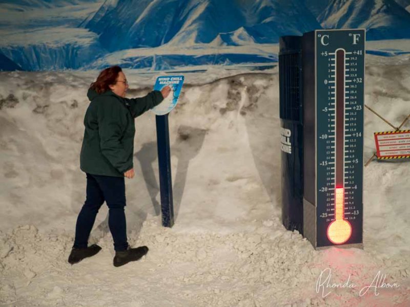 In a snowy room inside Antarctic Centre in Christchurch