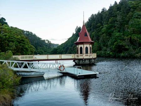 zealandia night tour review