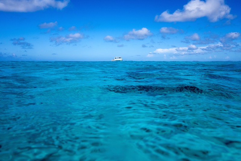 I Got The Bends Scuba Diving In Bonaire: When Dive Computers Fail