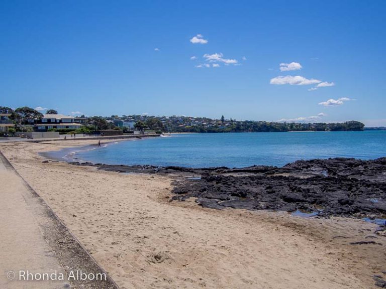 18 Short Walks in Auckland: Stunning Views on the Best Walks