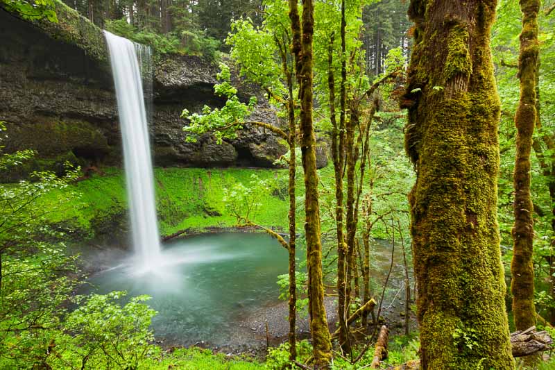 The South Falls in the Silver Falls State Park, Oregon, USA.