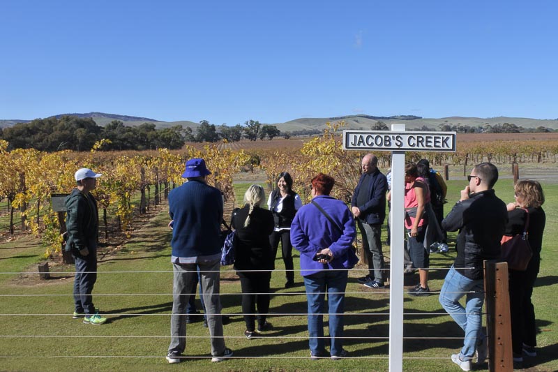 Wine tour in a Vineyard in Barossa Valley, a renowned wine-producing region northeast of Adelaide