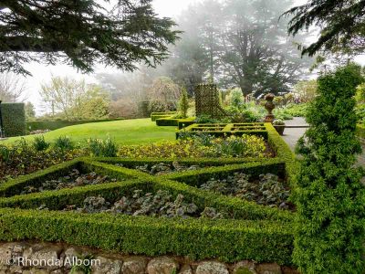 Manicured hedges in a pattern outside Larnach Castle one of many impressive New Zealand gardens.