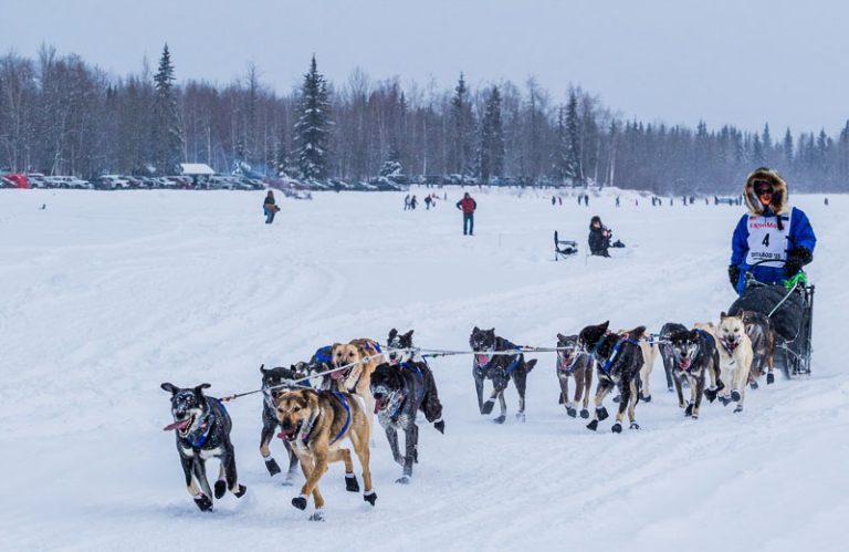 11 Things Alaska is Famous for (and Known for too!)