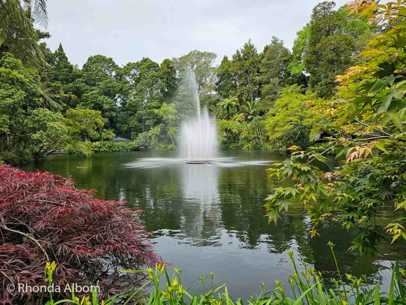 Main lake  and fountain at Pukekura Park, a must see in Taranaki