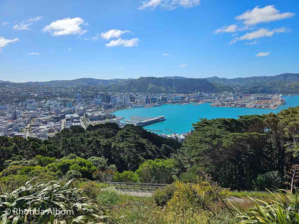 Mount Victoria Lookout: Wellington New Zealand's Best Views