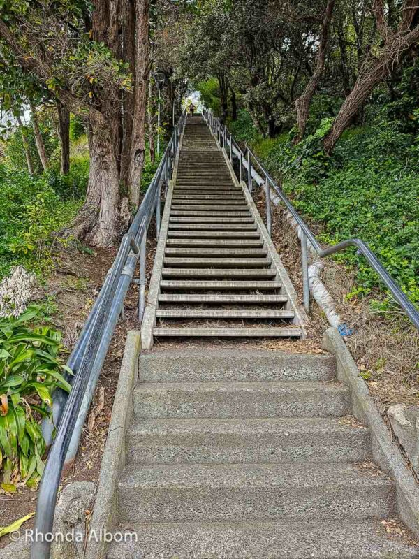 Stairway option next to tunnel to Durie Hill elevator in Whanganui