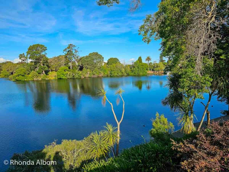 Viginia Lake Reserve - Lake Rotokawau, one of the relaxing things to do in Whanganui