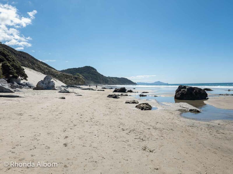 11 Fun Things to Do in Mangawhai: Beaches, Hikes, Dining, and More