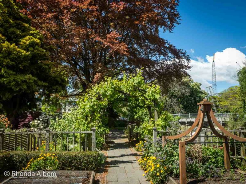 a path in the Christchurch Botanic Gardens