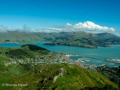 Explore the best of the Christchurch cruise port, from city tours to wildlife encounters or scenic adventures in and around Christchurch, Lyttelton, Akaroa.