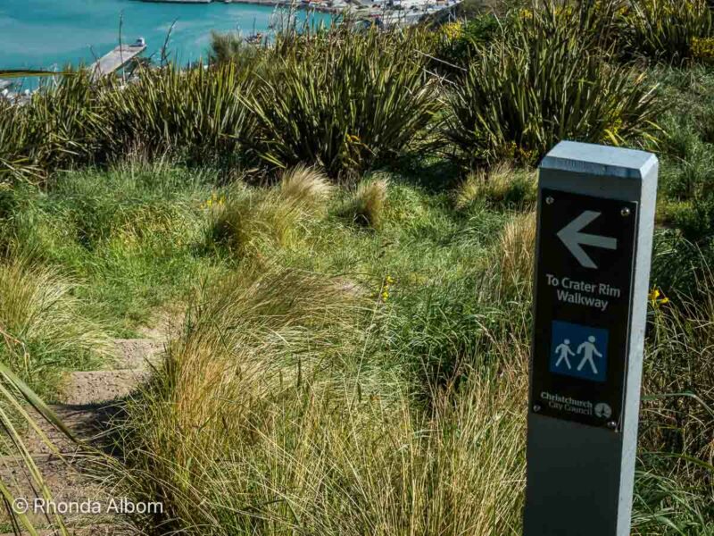 sign post for the Crater Rim Walkway on the Godley Head Loop one of the options from the Lyttelton cruise port