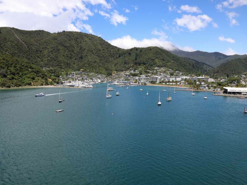 Picton Cruise Port: 12 Fun Ways to Explore Marlborough Sounds