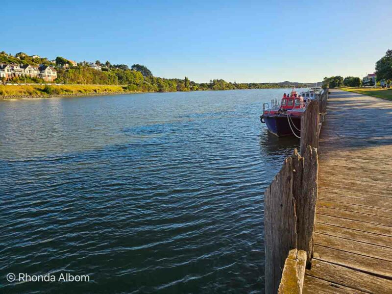 Whanganui New Zealand Boardwalk along Whanganui River 20250128 192322