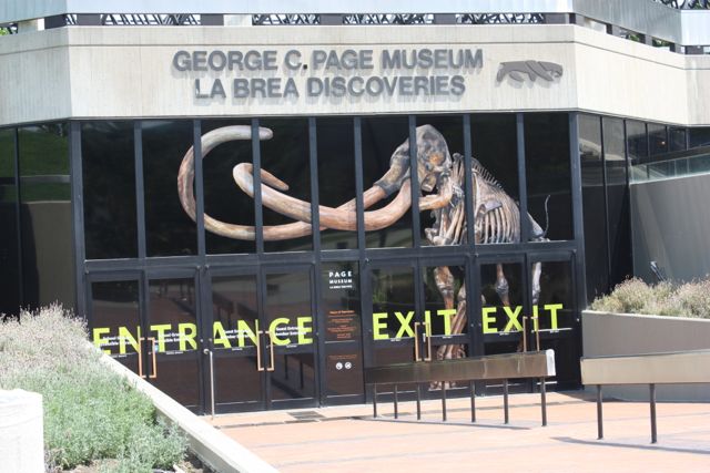 La Brea Tar Pits - A Surprising Find in the Heart of Los Angeles