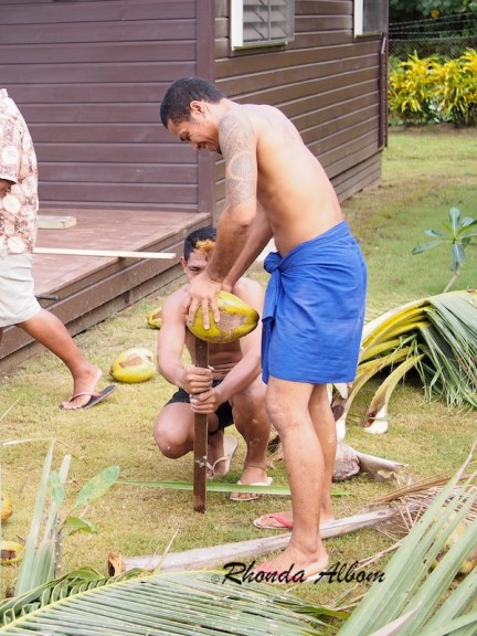 Opening a coconut with a large wooden spike